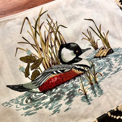 HOODED MERGANSER S1