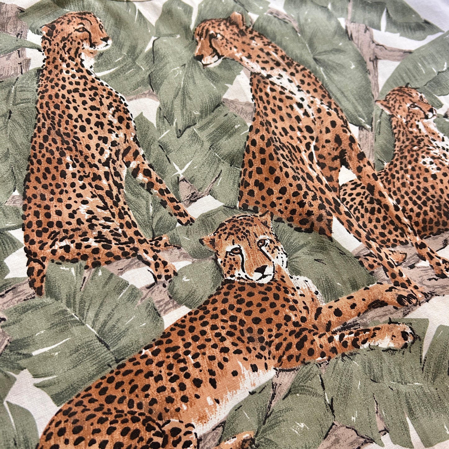 CHEETAH