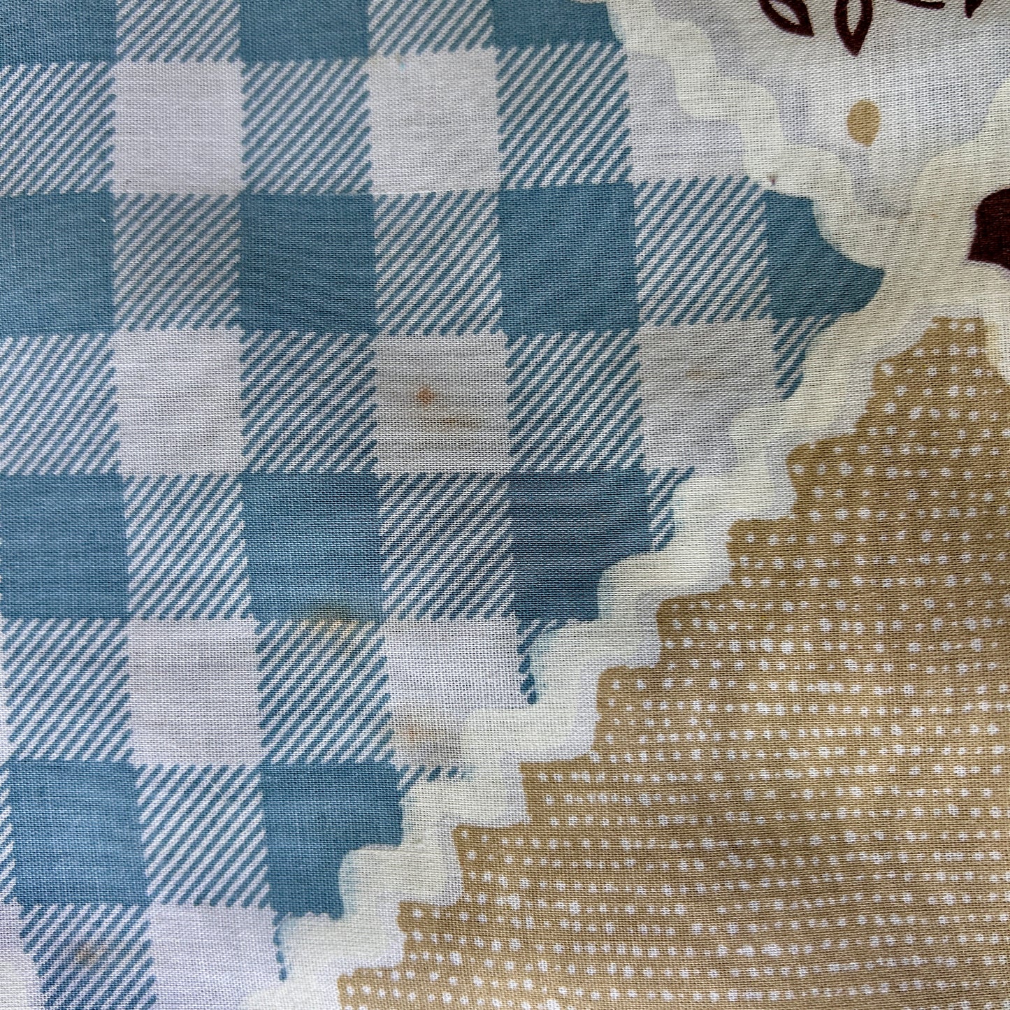 BROWN & BLUE