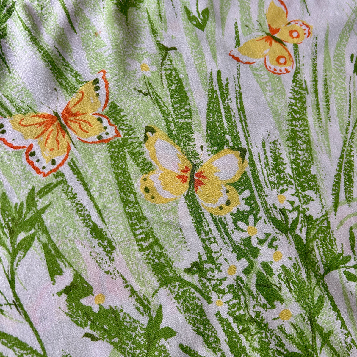 BUTTERFLIES S2