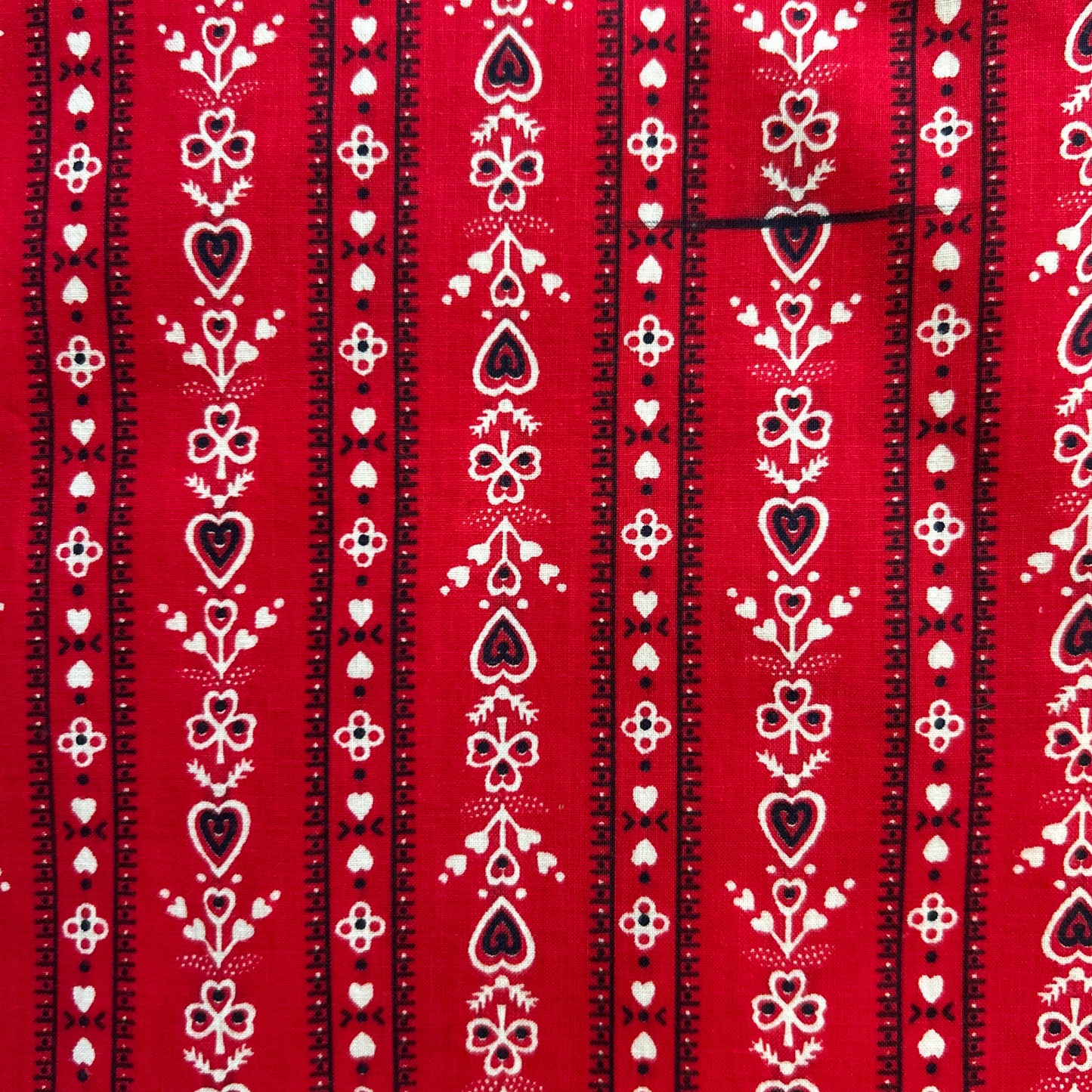 BANDANA CAT S1