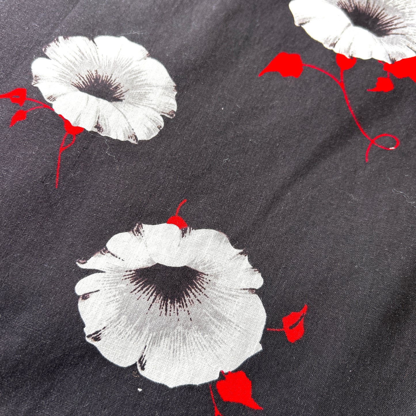 GHOST FLOWERS