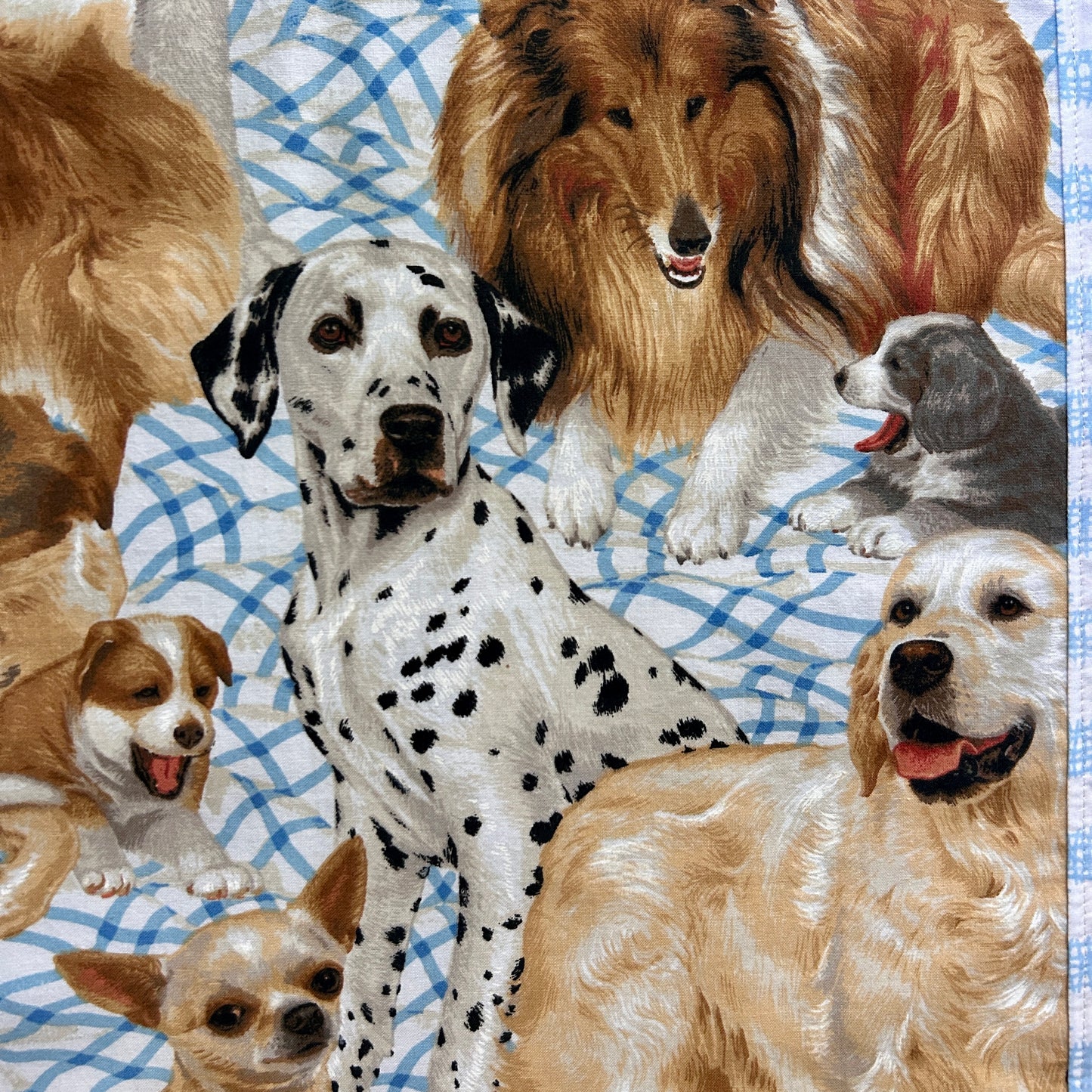 DOG 2.
